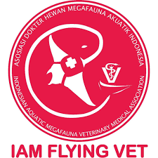 IAM Flying Vet
