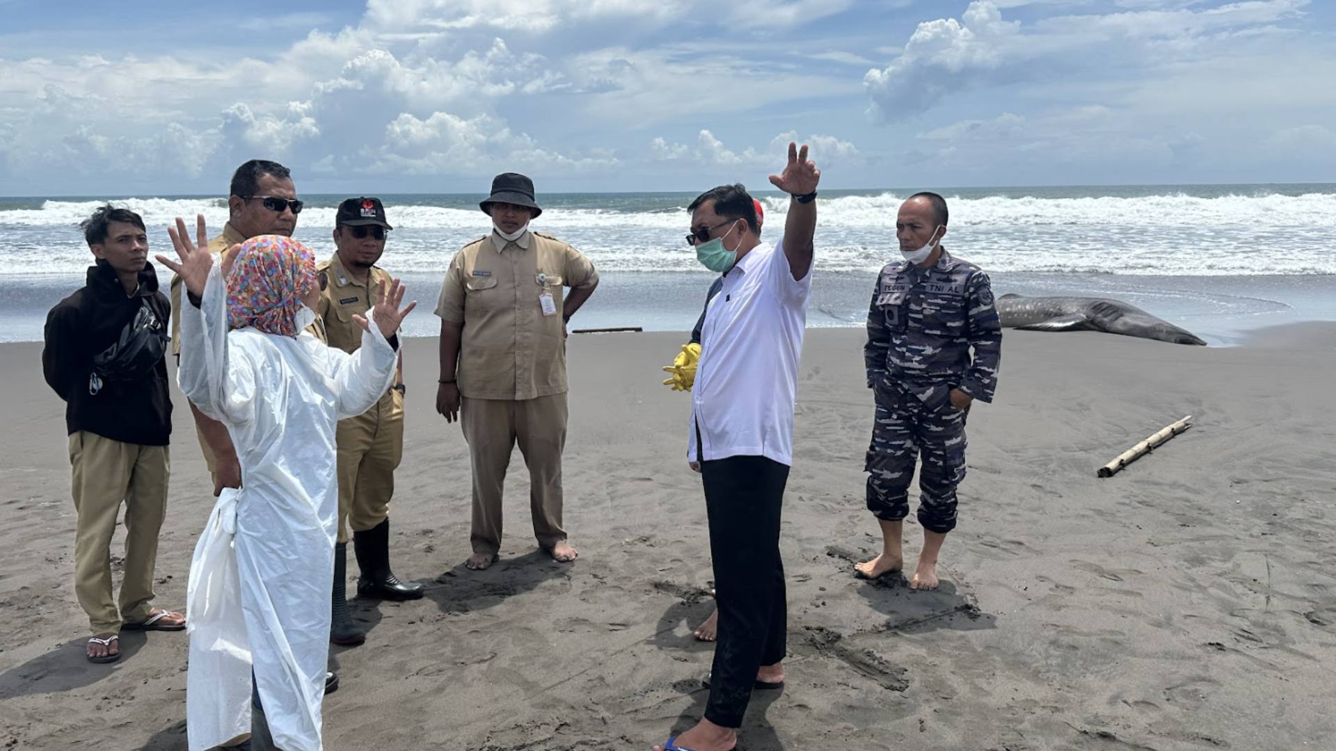 Form Data Pelapor Kejadian Terdampar pada Hiu Paus